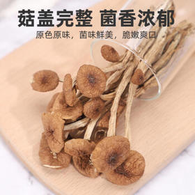 塞翁福 茶树菇150g 鲜嫩 不开伞 食用菌菇 南北干货 火锅 煲汤食材 /粮油调味 /南北干货 /菌菇干货