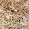 井水豆芽，自然生长，没有科技狠活！ 商品缩略图1