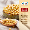 初萃 中粮东北黄大豆2斤 五谷杂粮 可打豆浆 非转基因 粗粮  罐装 /粮油调味 /杂粮 /杂豆类 商品缩略图5