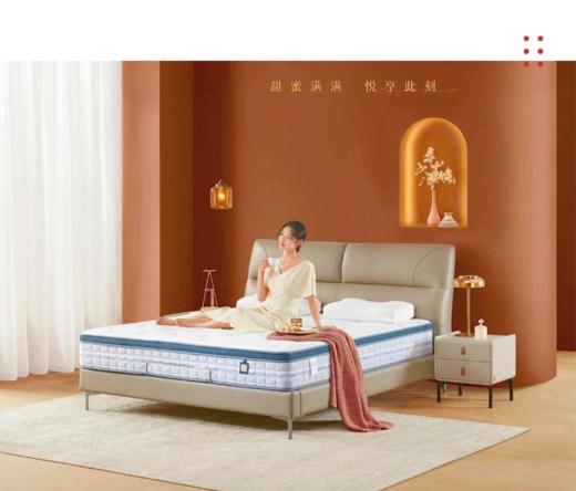 提拉米苏皮床/B1033-床头柜/PT3023G 商品图1