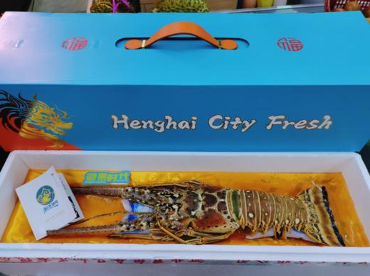蓝箱大龙虾礼盒 商品图2