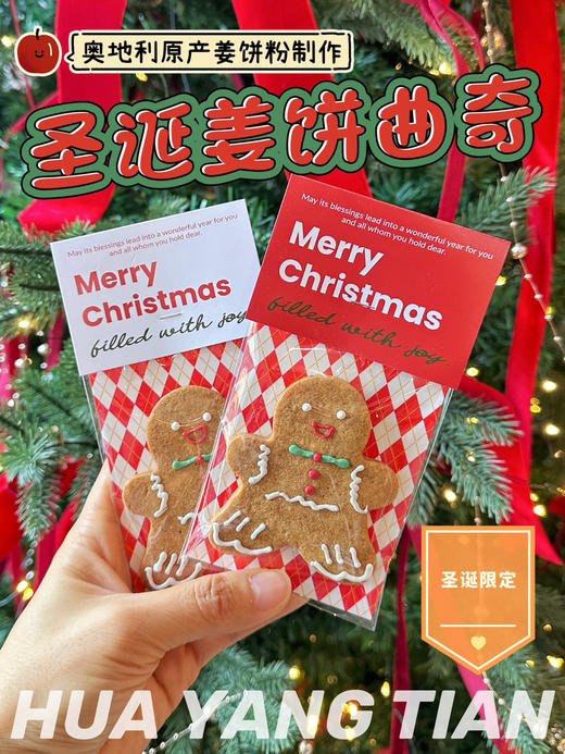 2025圣诞限定 ｜ 圣诞姜饼曲奇🎄 商品图0