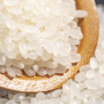 崇明大米2026当月新米香稻米大米10斤/5kg岛内直供弹软香珍珠米粳米含胚芽 /粮油调味 /米 /珍珠米 商品图6