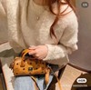 B121523时尚百搭印花单肩斜挎手提mini波士顿枕头包 商品缩略图7