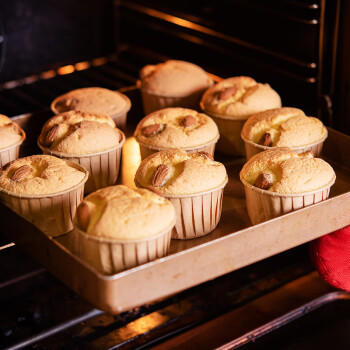 百钻低筋面粉500g*3袋小麦面粉空气炸锅家用自制戚风蛋糕饼干烘焙原料 /粮油调味 /烘焙原料 /烘焙粉 商品图0