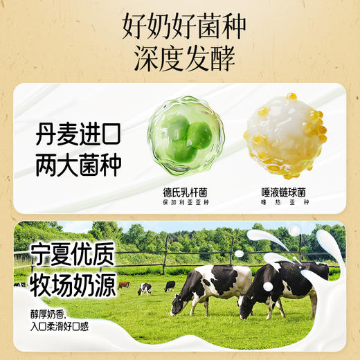 优选 | 轻上 桑葚五黑酸奶营养饮品以黑养黑焕发黑营养220ml*10瓶 商品图3