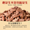 三顷粮 瘪花生米 高纤维 高蛋白质 干瘪小花生 小粒生小秕子1斤每桶 /粮油调味 /杂粮 /谷米类 商品缩略图1