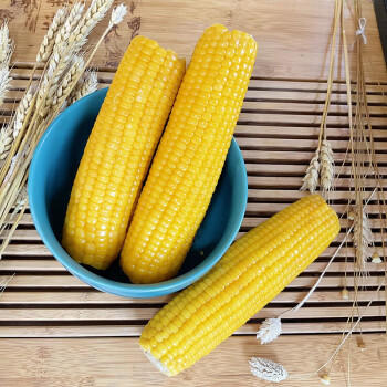 玉米神黄糯玉米棒8根≥1800g/3.6斤粘香软糯东北代餐无添加非转基因粗粮 /粮油调味 /杂粮 /谷米类 商品图6