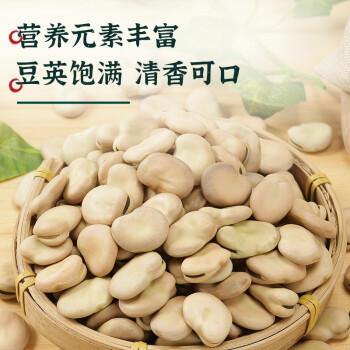 赤川 内蒙古生蚕豆 5斤 干蚕豆新鲜蚕豆粗粮生胡佛豆 /粮油调味 /杂粮 /谷米类 商品图4