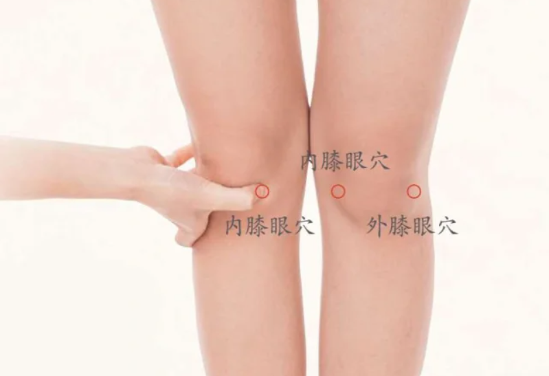 4穴。艾灸膝眼穴可以帮助人体驱寒驱湿，帮助疏导膝关节部位的经络淤堵。
