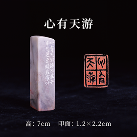 梁晓庄篆刻印章1.2x2.2x7CM丨心有天游（心有天游，语出庄子，辛巳[2001]夏至晓庄挥汗） 手工巴林石篆刻作品[原作编号：ZK008]