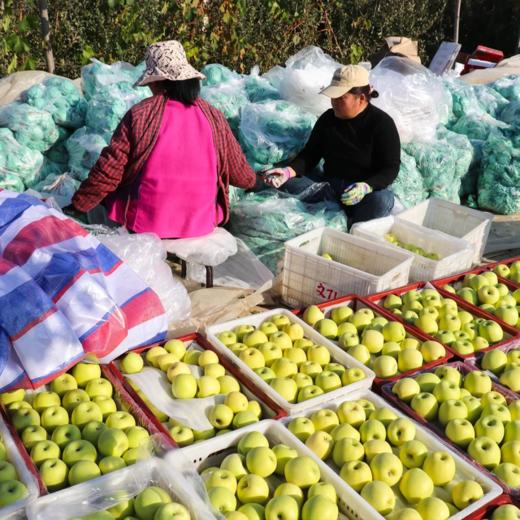 瑞雪苹果【国货之光，有礼盒装】 商品图7