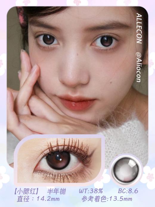 Allecon 小腮红 14.2mm【半年抛1片】 商品图1