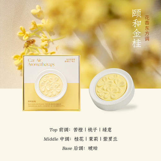 【赴一场气味的旅行，花语系列·出风口香薰】车载出风口香薰 高级感香薰片 伴手礼内搭 去异味香氛 香水持久留香-QQ 商品图7