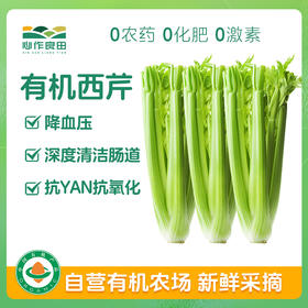 有机西芹 榨汁专用芹菜蔬菜沙拉菜 2500克