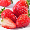 【四川好物】大凉山奶油草莓  1.4斤/2.4斤/3斤/4.5斤  京东/顺丰直达 商品缩略图2