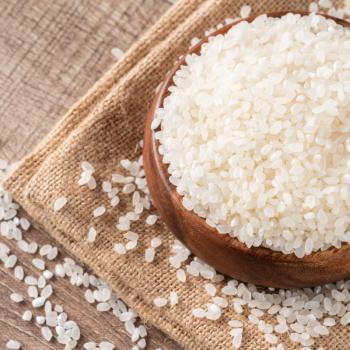 稻盛美盘锦大米20斤【正宗蟹田米】 东北大米圆粒粳米新米2026现磨 真空 /粮油调味 /米 /珍珠米 商品图1