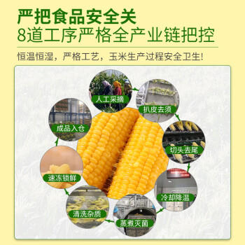 灶小美 高端有机糯玉米大棒8根3.8斤(240-300g/根) 天然微甜杂粮礼盒 /粮油调味 /杂粮 /谷米类 商品图1
