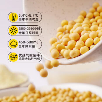 野三坡黑豆豆浆粉25gX10袋 非转基因原味无防腐剂高蛋白早餐冲饮  /粮油调味 /杂粮 /其他杂粮 商品图4