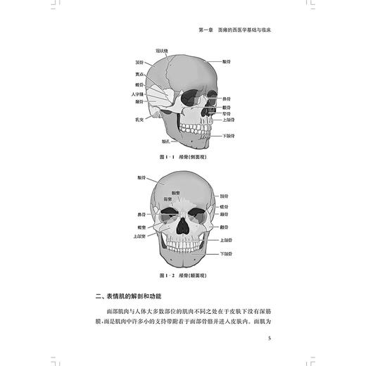 面瘫中医外治疗法 曹莲瑛 主编 针灸推拿 面瘫的西医学基础与临床 面神经的解剖及病理生理 9787547868485 上海科学技术出版社 商品图3