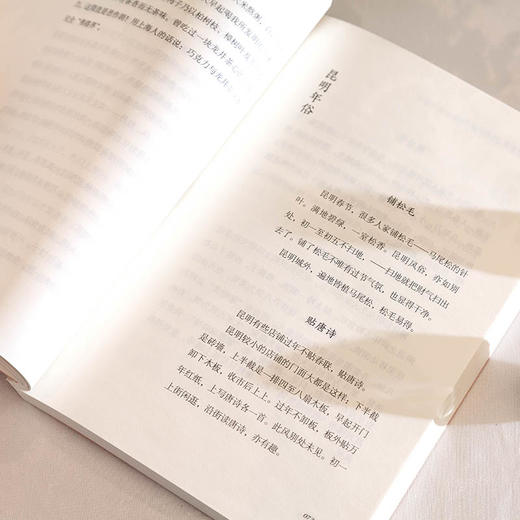 汪曾祺：三餐烟火暖 四季皆安然 商品图7