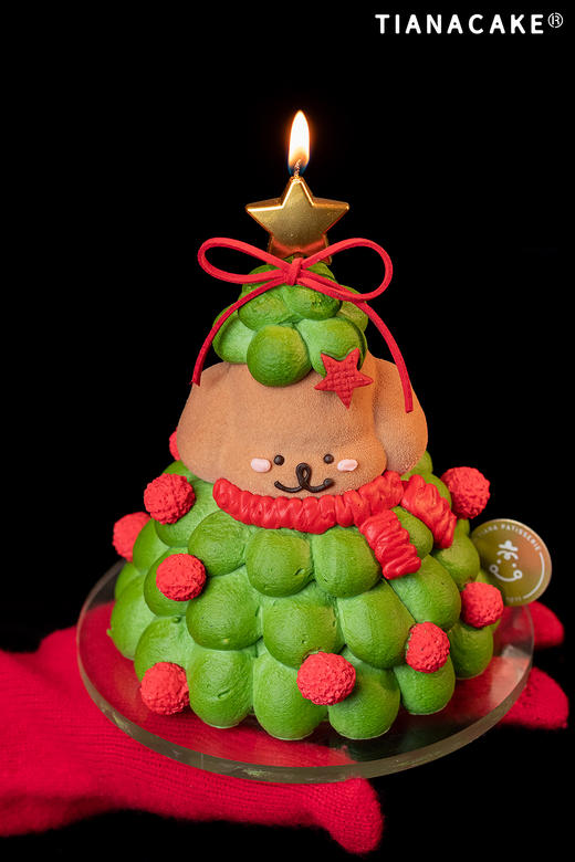 🌟圣诞限定｜修狗星愿树🎄（五寸树莓开心果） 商品图0