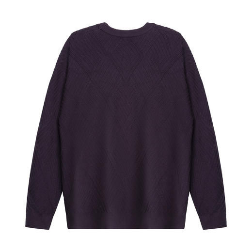 【新品上新】HX 冬季圆领毛衫亲肤舒适Z107440002101/02 商品图9