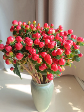 配花配草红豆相思豆火龙珠1扎