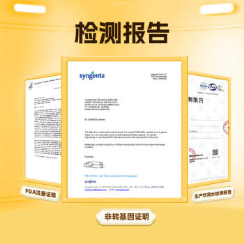 失重密码【免煮速食】水果玉米棒3.52斤（220g*8）东北甜玉米即食低脂低Gi /粮油调味 /杂粮 /谷米类 商品图7