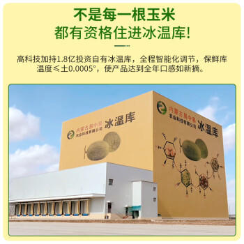 灶小美 高端有机糯玉米大棒8根3.8斤(240-300g/根) 天然微甜杂粮礼盒 /粮油调味 /杂粮 /谷米类 商品图4