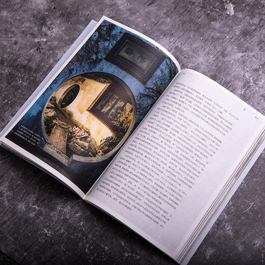 地道风物·苏州 深度呈现江南文人的审美志趣、红尘俗世的富贵风流 多维度阐释苏州在经济与文化上造就的江南巅峰 人文地理 商品图2