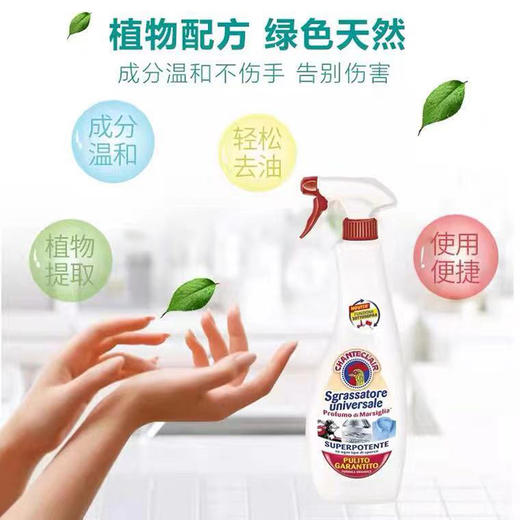 意大利大公鸡管家油污清洁剂600ml*3瓶     喷头*3 商品图2