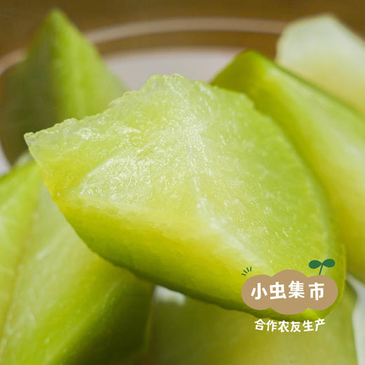 生态沙窝萝卜 5斤/8斤 | 合作农友生产，产自天津，生产者：董志伟 *【公平贸易农人定价】 商品图4