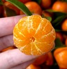 周四取货：【砂糖橘】一份2斤左右，皮薄多汁肉嫩，香甜无渣，沁心润喉！ 商品缩略图1