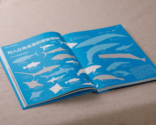 海洋之书：可视化海洋探索，以信息图的形式，综合呈现海洋系统和海洋生态现状 科普图书 商品图3