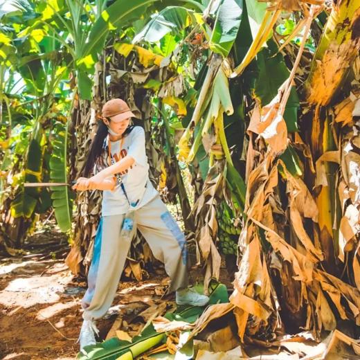 6天5晚【奢玩·西双版纳寒假亲子营】体验雨林穿越、特色傣族民俗文化、野象谷、小熊猫庄园，1大1小到2大2小享主题正餐，全程高能有玩有学不枯燥，高端野奢度假体验~ 商品图4