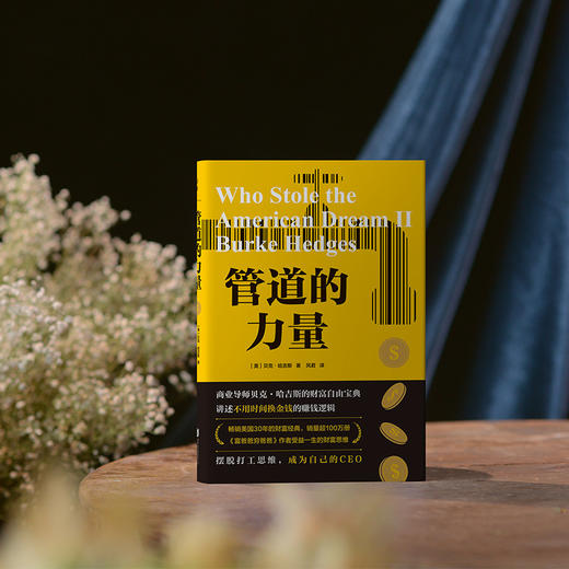 管道的力量 商品图4