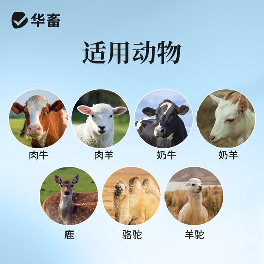 华畜牛羊壮1kg牛羊专用拉大骨架促生长 商品图5