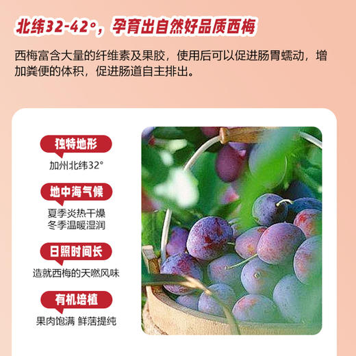 【保税仓cn】Prunelax西梅片60粒迷你版（效期2026-02-01） 商品图3