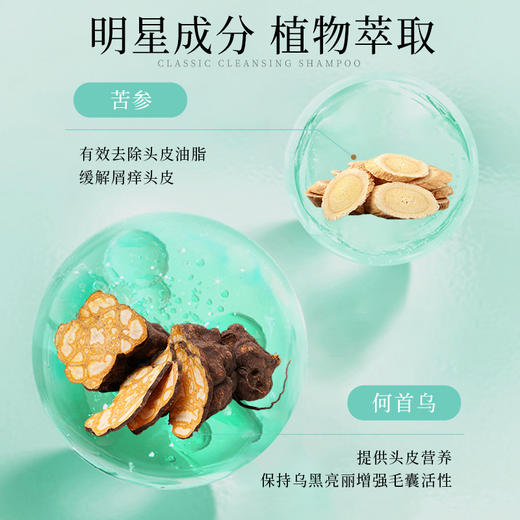 自营（菲小主）-经典清盈控油养发防断洗发水体验装10ml*4袋 商品图3