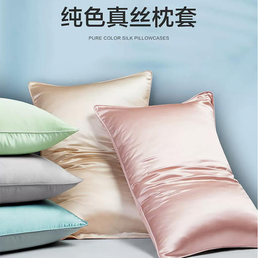 桑蚕丝枕套 【正面：100%桑蚕丝（长丝） 背面：100%莱赛尔天丝】 商品图1
