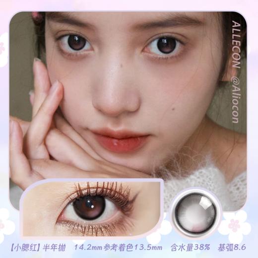 Allecon 小腮红 14.2mm【半年抛1片】 商品图0