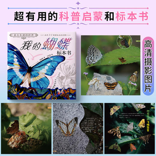 这么有趣的科普：我的蝴蝶标本书 商品图1