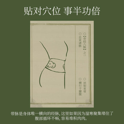 【真不二】甘遂轻盈贴带脉腰贴身材管理贴出葫芦腰打开排水口 商品图2