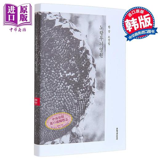【中商原版】伤口愈合中 黄色图案的永恒 诺贝尔文学奖作家韩江经典作 韩文原版 韩版 韩语版 商品图0