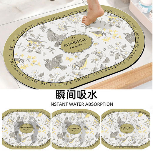 【复古花纹浴室地垫】吸水地垫硅藻泥浴室地垫强吸水净脚耐脏防滑卧室门边脚垫。ry 商品图2
