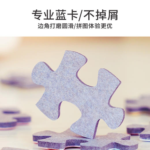 TOi图益-潮玩拼图系列-卡皮巴拉CP盲盒49片（拍6发端盒） 商品图3