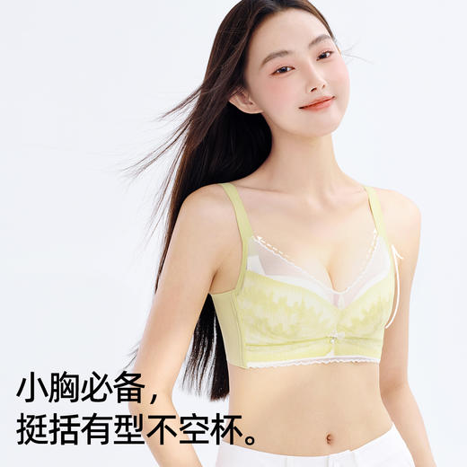 熳洁儿 小胸聚拢不空杯内衣性感撞色蕾丝聚拢调整上托收副乳24261532 商品图3