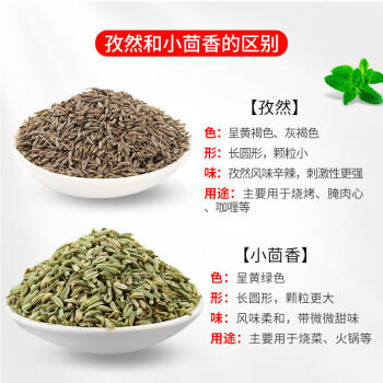 川珍孜然粒100g(研磨瓶)新疆孜然碎粉烧烤腌肉烤串调料撒料蘸料调味料 /粮油调味 /调味品 /基础香辛料 商品图0