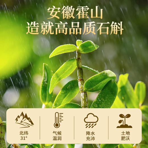 雷允上霍山铁皮石斛120g（60g*2瓶）/盒 商品图5